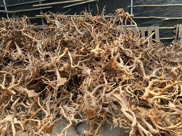 Spider wood