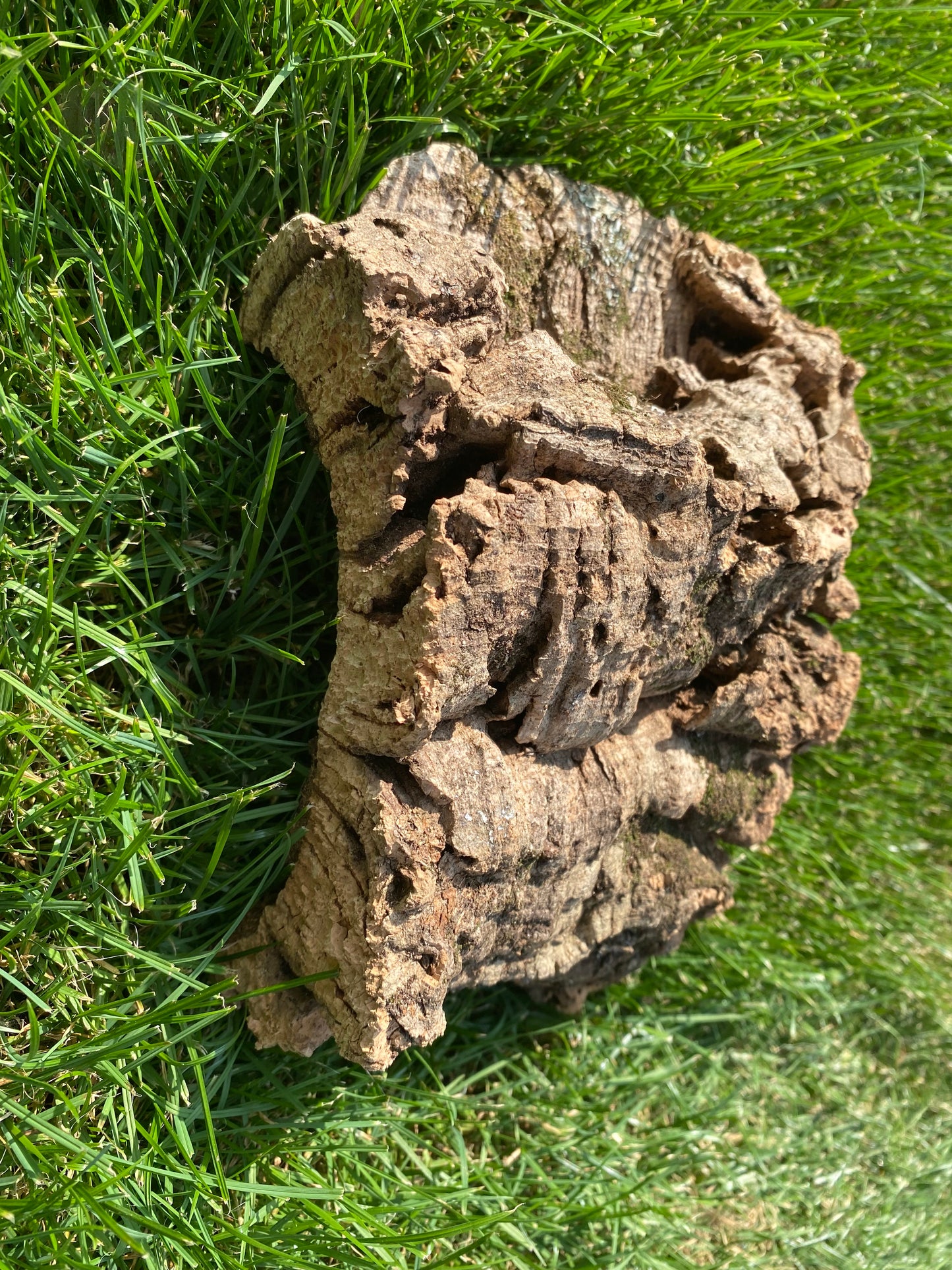 Kurk mix van 1,5 kg
