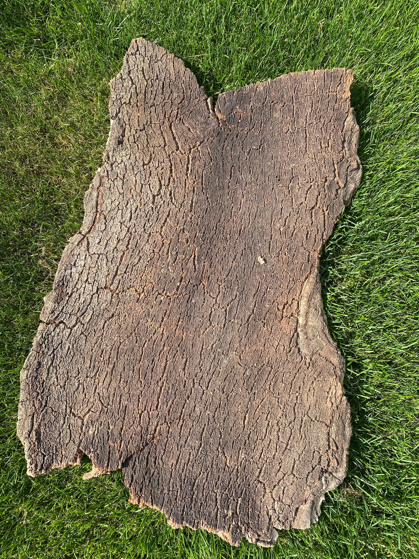 Plancha achterwanden