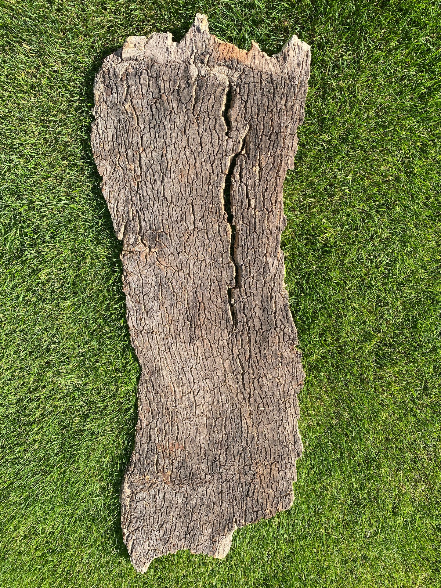 Plancha achterwanden