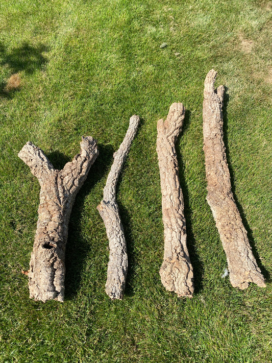 L-tubes