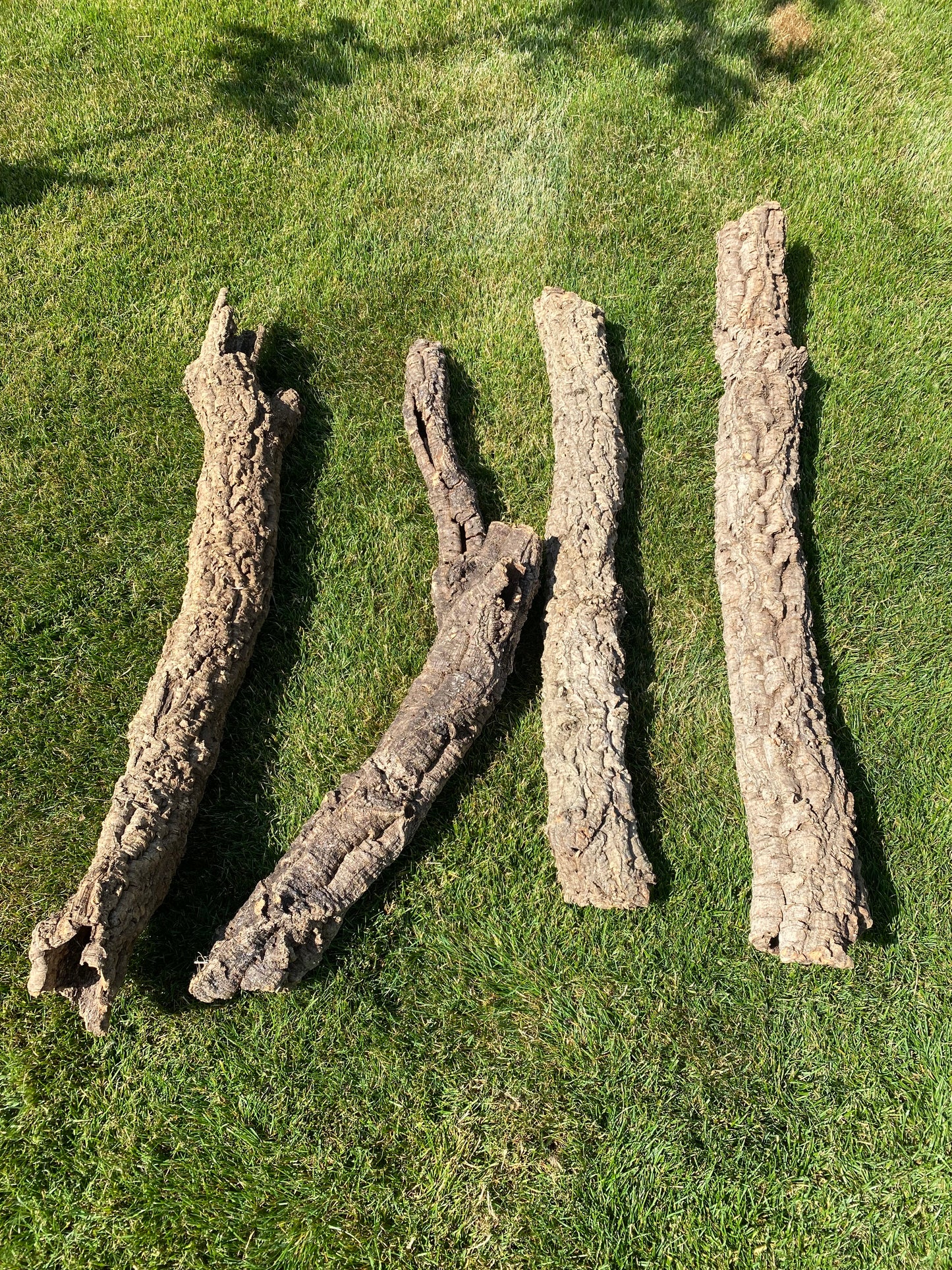 L-tubes