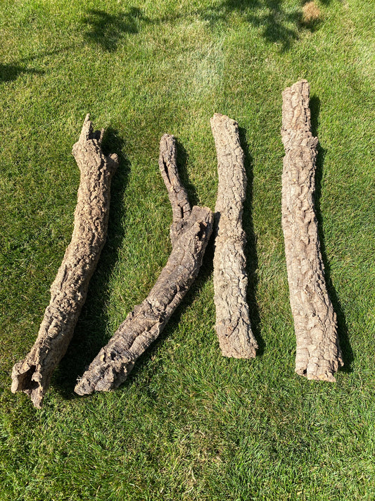 L-tubes